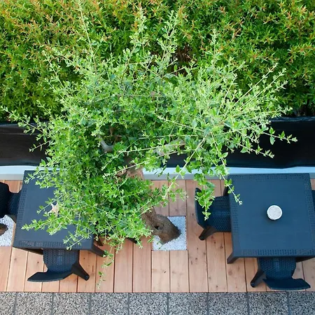 Casa Vacanze Mainardi Con Giardino Apartamento